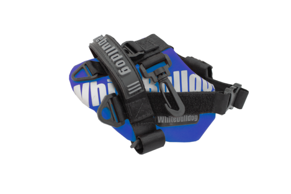W2x Pequeño Azul - Image 2